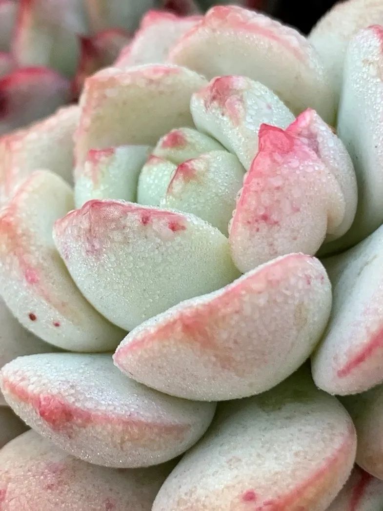 禁足的日子收获颇多,禁足