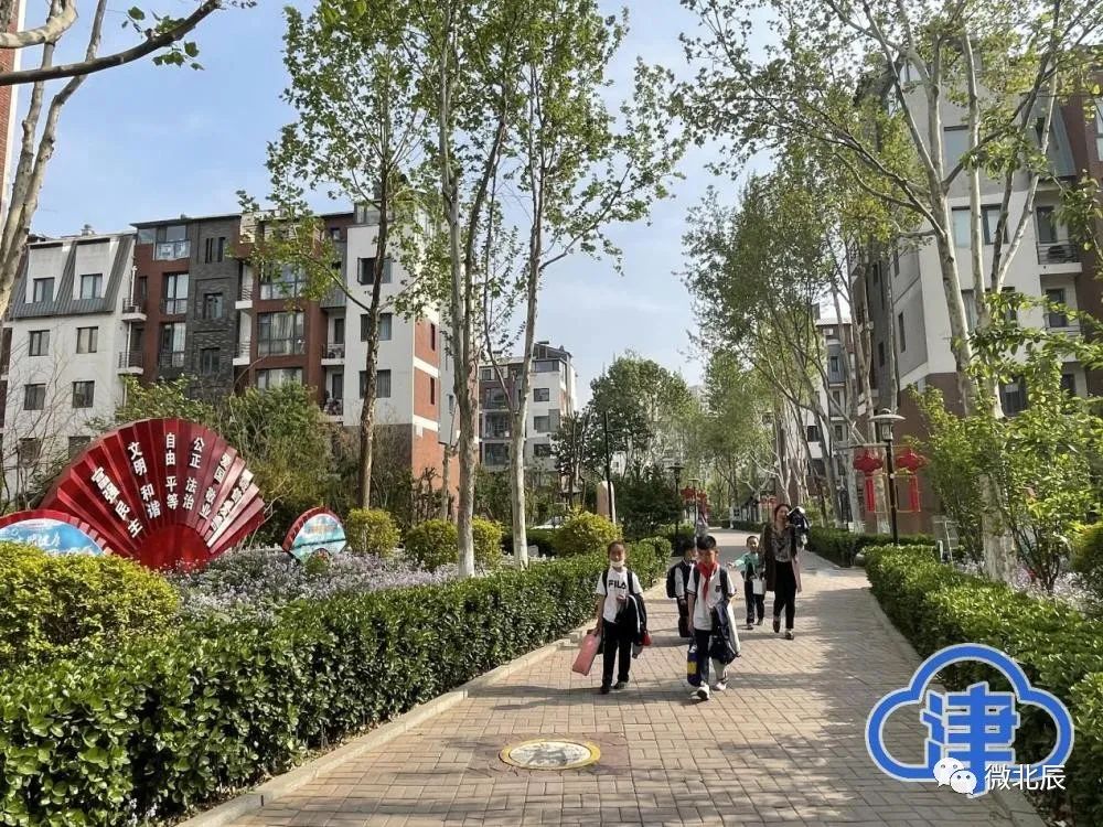 市级媒体聚焦“天津楷模”|北辰区瑞景街宝翠花都社区*党**总支书记、居委会主任林则银