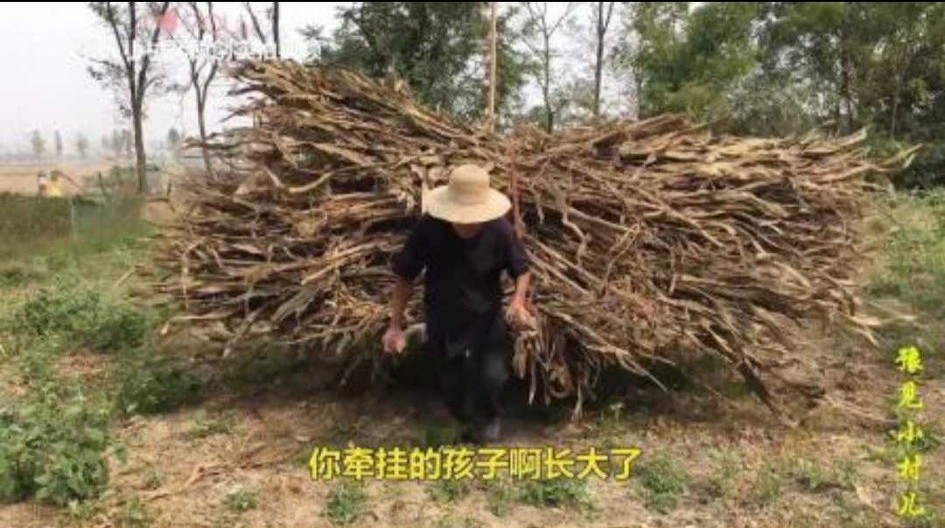 关中背馍上学的日子,背馍河南