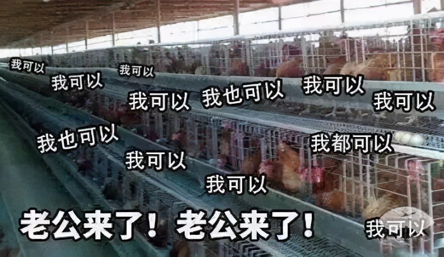 效果堪比整容的变美小知识,花几万整形不如换个发型