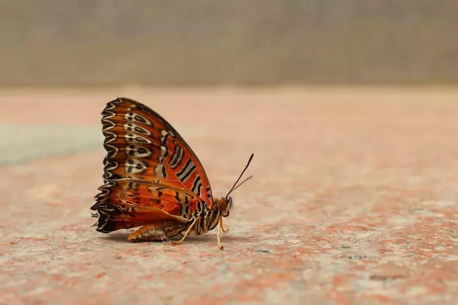 最近新出的性价比高的相机,近三年新发布的相机