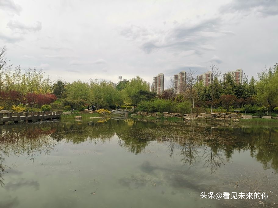 烟台开发区福莱山公园最新消息,烟台开发区福莱山公园喷泉时间