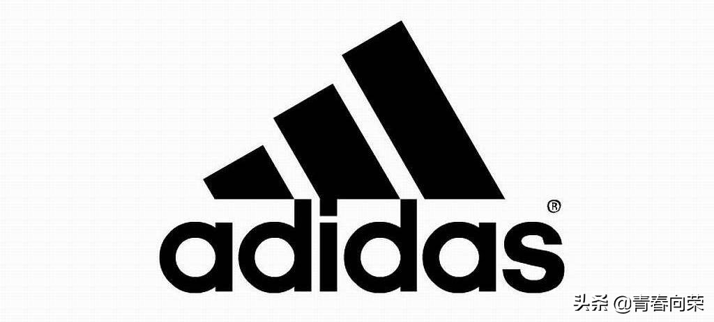 新手向主流跑鞋推荐,及其缓震科技的主观体验