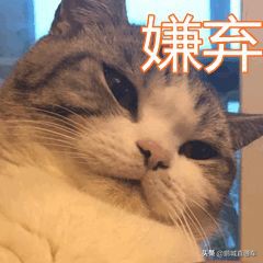 在深圳，这些岗位可以年入百万！你工资月入多少？分享一下