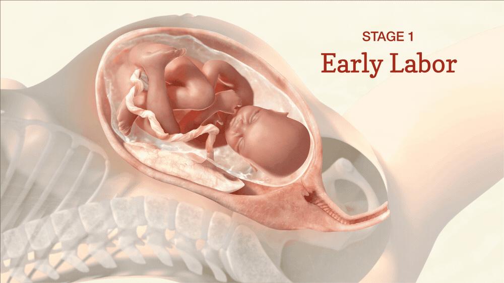 如何简单了解代孕是什么意思,先搞懂婚姻