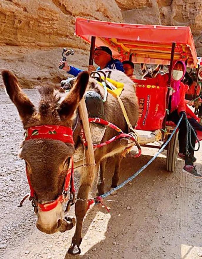 住最静的酒店，看最美的景！只因在黄河石林~