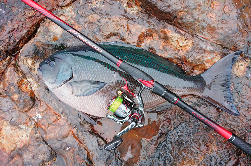 矶钓竿新手入门选择,新手买矶钓竿应该怎么选择