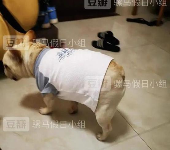 小红书上的“BM女孩”，快把我看吐了