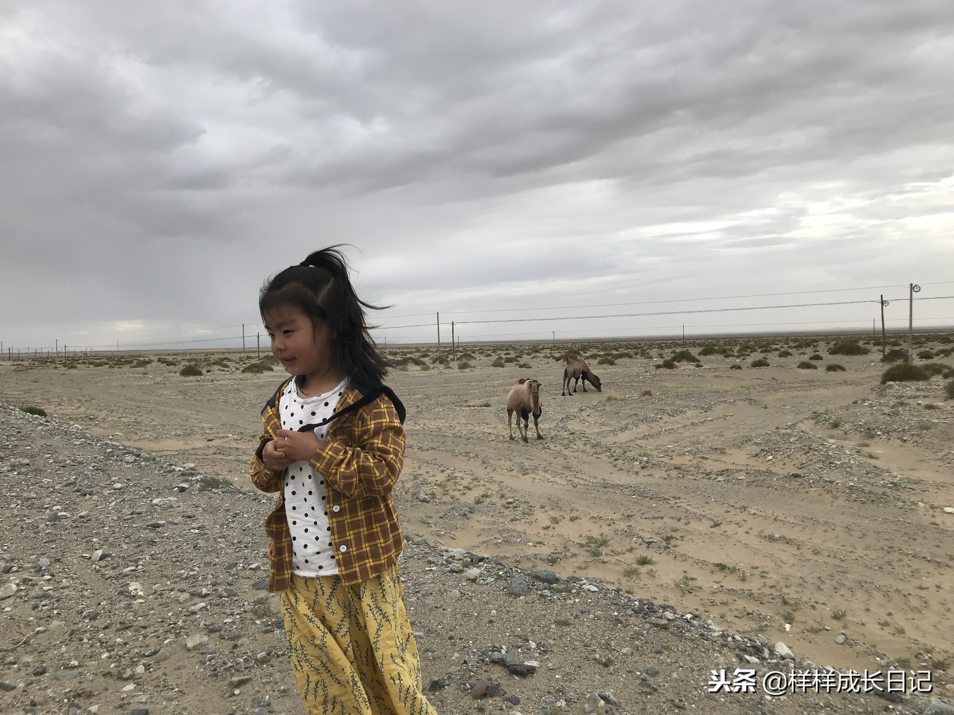 最新版新藏线叶城拉萨骑行攻略,219新藏线自驾游从叶城出发