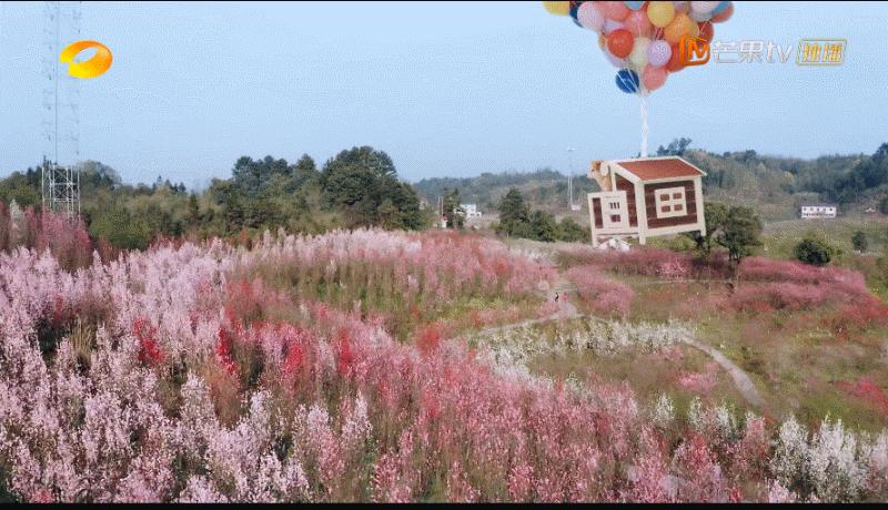 向往的生活2023会完结吗,向往的生活第七季怎么停更了