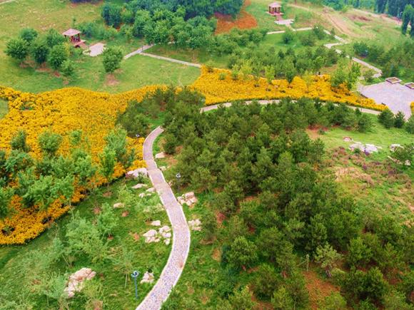 泱泱齐风临淄,淄博临淄世界足球起源地