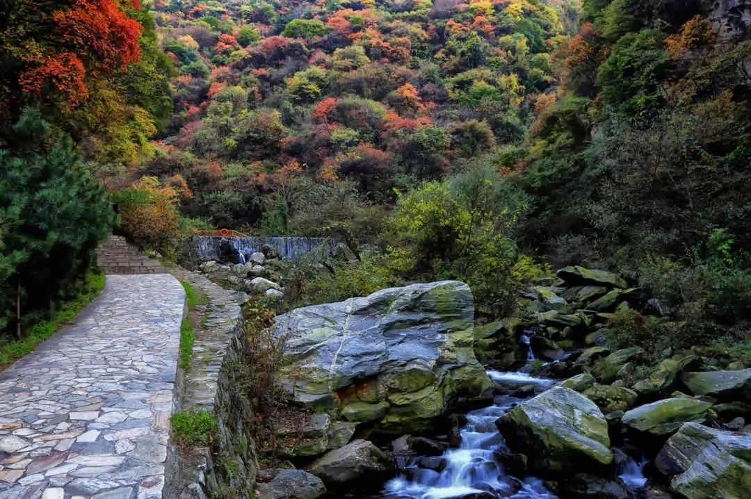少华山冬天一日游最佳攻略,少华山国庆旅游图片