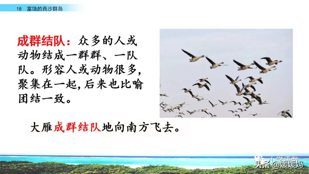 三年级第18课富饶的西沙群岛预习,3年级语文第18课富饶的西沙群岛