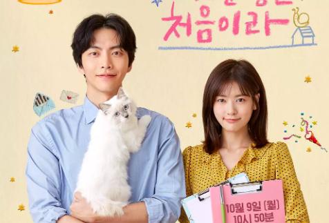 韩剧盲选指南二:tvN、OCN、JTBC你津津乐道的韩剧都在这儿