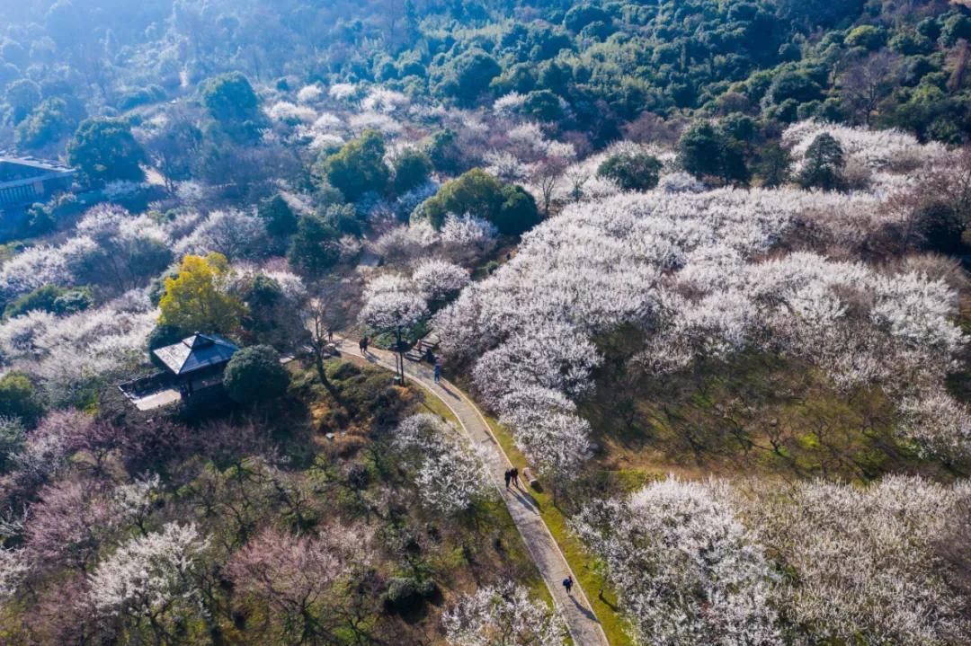 五一杭州游玩大集合,杭州景点攻略大全一日游
