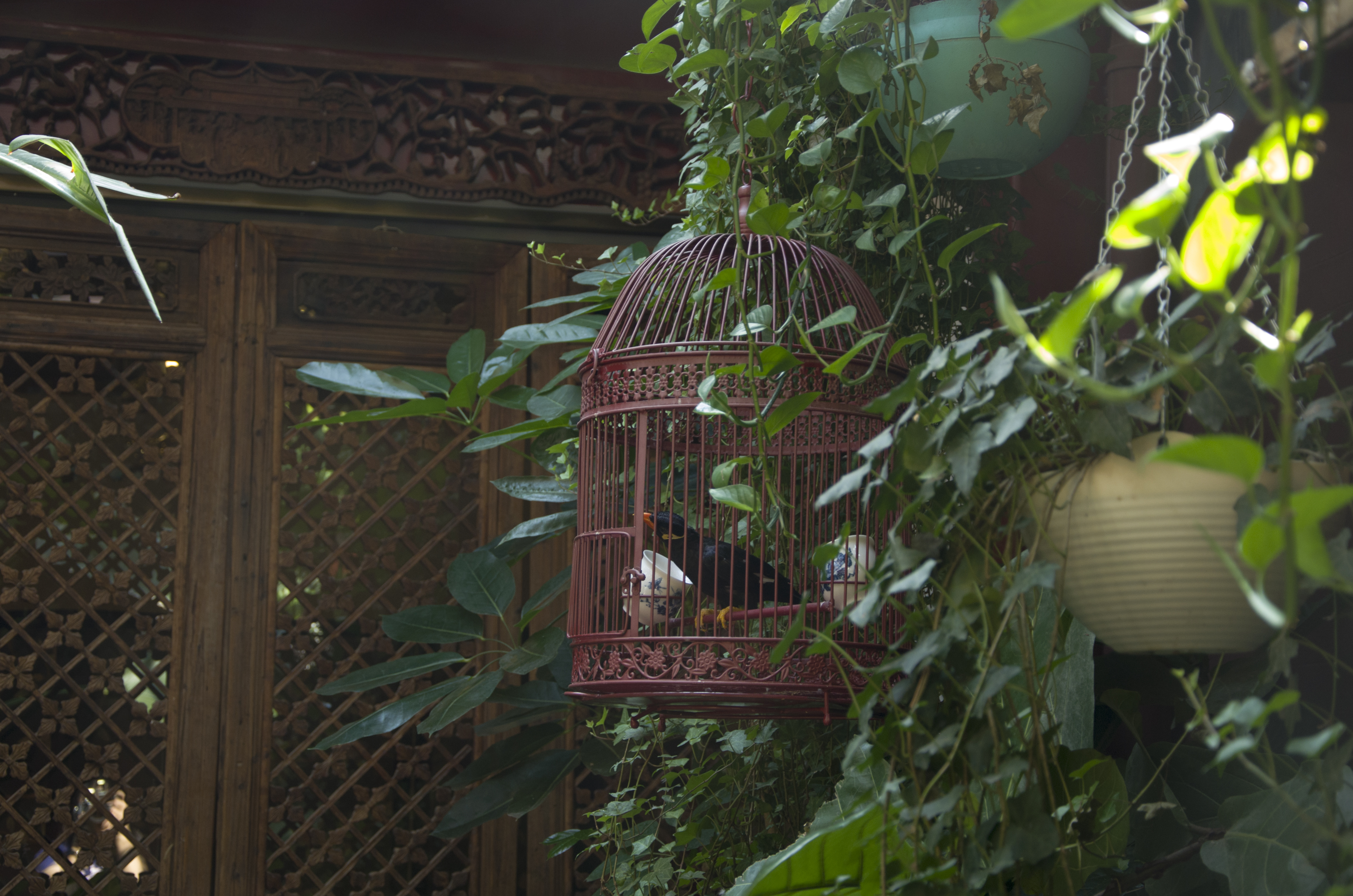 大隐于市的DeepRed深红别院，岁月静好