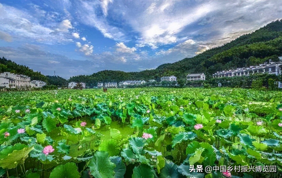 乡村振兴产业方面存在的问题,乡村振兴最有前景九大产业