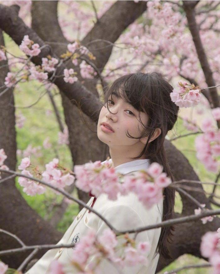 杨颖樱花与精灵妆拼图,刘嘉玲樱花美照