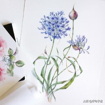 最适合qq签名的句子,适合做qq个性签名的句子8个字