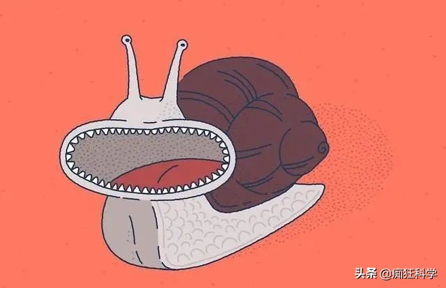 15条有趣的历史冷知识,科普电动牙刷冷知识