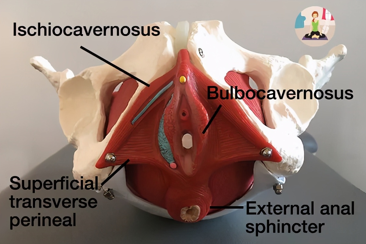 张雨绮怎么瘦成吴谨言了,张雨绮瘦的时候