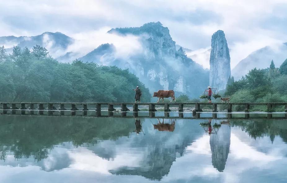 有着双重人生的小城青田，你对它的实力一无所知