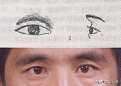 最美的眼睛形状,眼睛是什么样的形状才好看