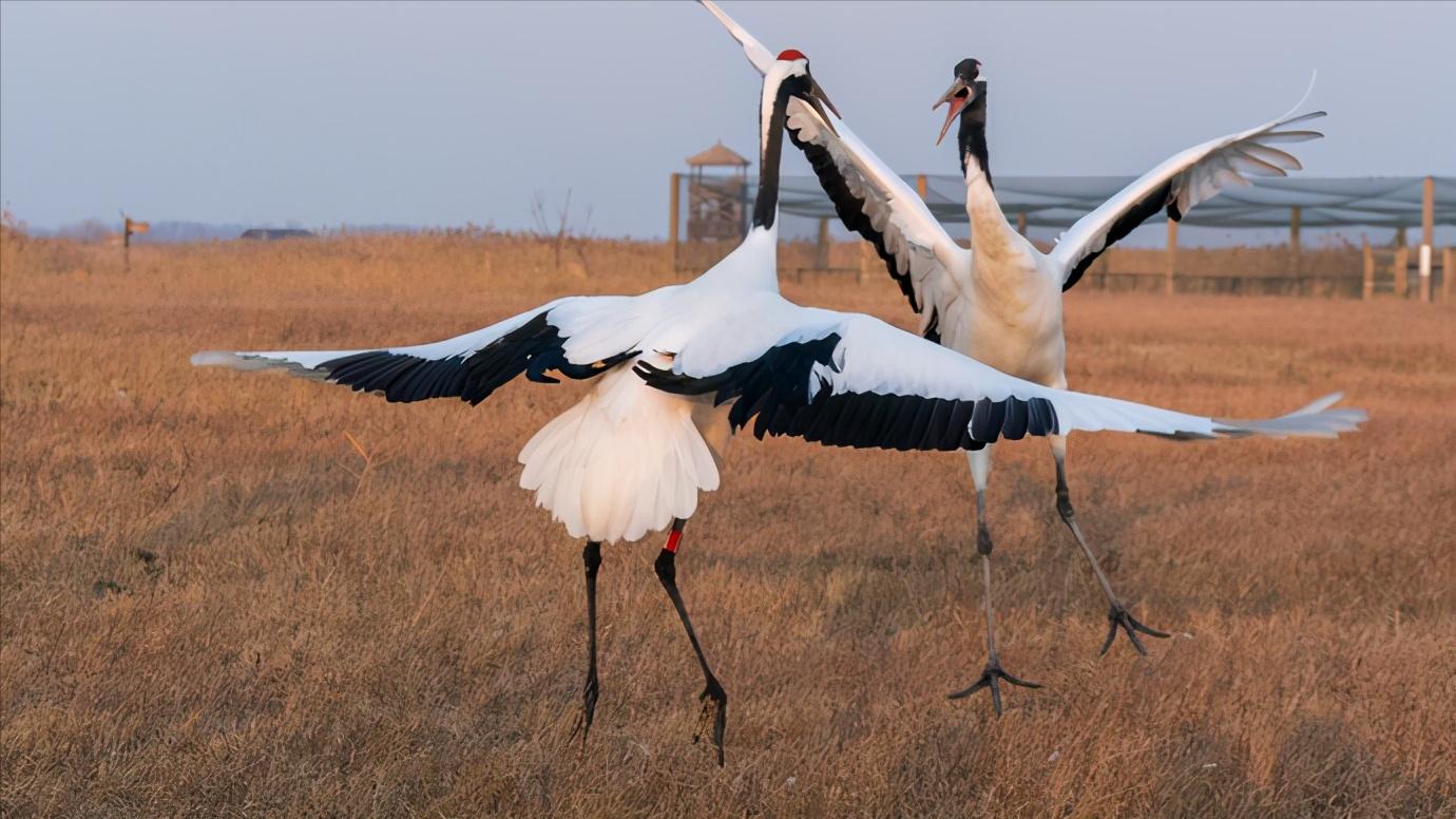 江苏省盐城市有哪些县和区,浅谈全国各省份