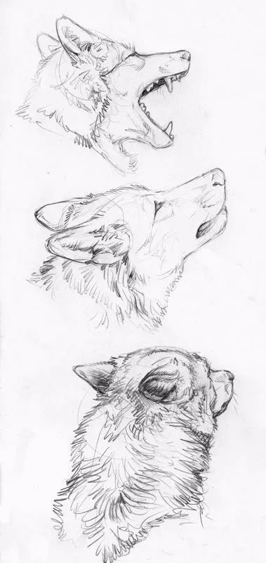 绱犳弿鍏ラ棬鍔ㄧ墿,绱犳弿鍔ㄧ墿瑙ｆ瀽