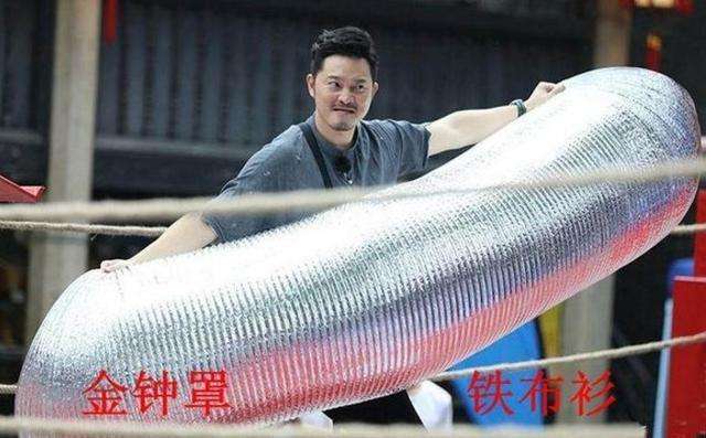 刀枪不入还能反射*弹子**，拥有最硬的外壳却是濒危动物，怎么回事？