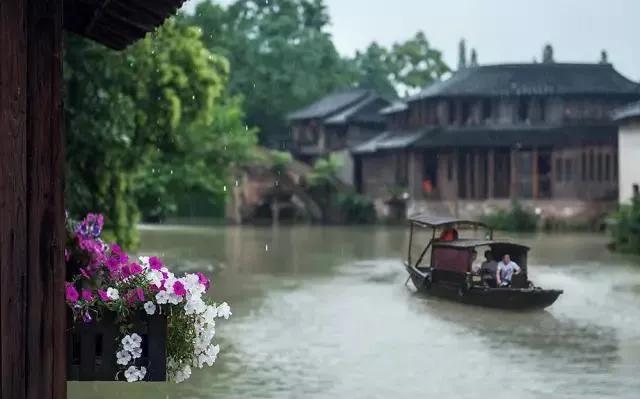 嘉兴粽子为什么这么出名,浙江嘉兴最出名的粽子是