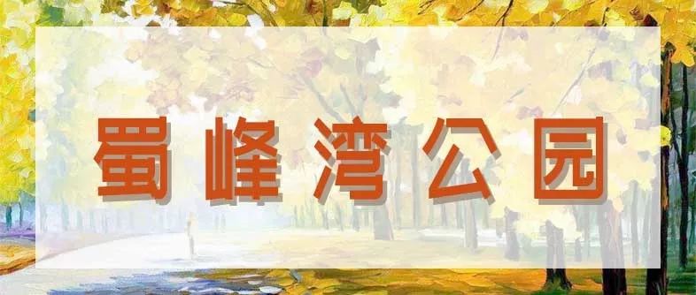 合肥秋季风景打卡地方排行榜,合肥最值得打卡地