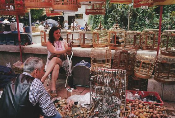 带爸妈云南旅游注意什么,云南旅游注意事项视频