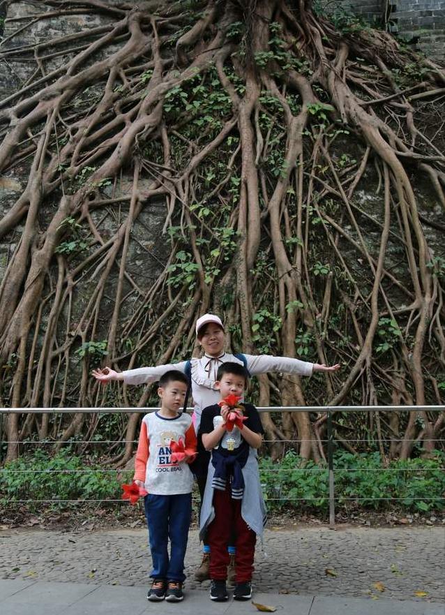 广州长隆四天三晚旅游推荐,4天去广州长隆和珠海看海怎么玩