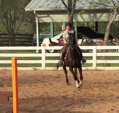 混蛋有什么意思,魂淡是什么梗