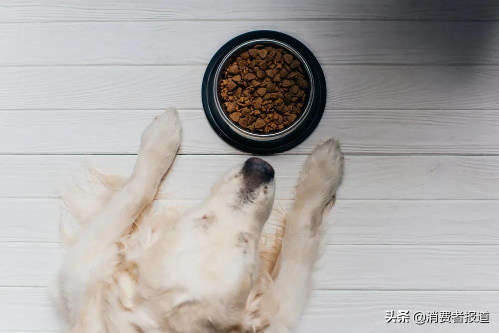 伯纳天纯原始狩猎猫粮检测,15款高质量狗粮推荐