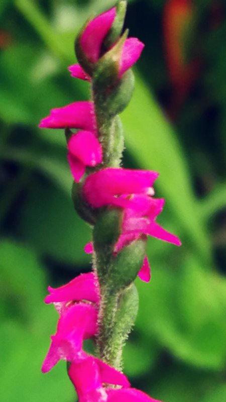 985大学家长求助学校,父母985孩子是学渣怎么开导孩子