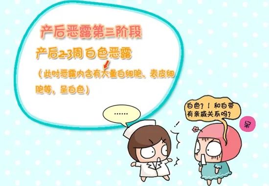 闽南月子排恶露,母羊产后恶露