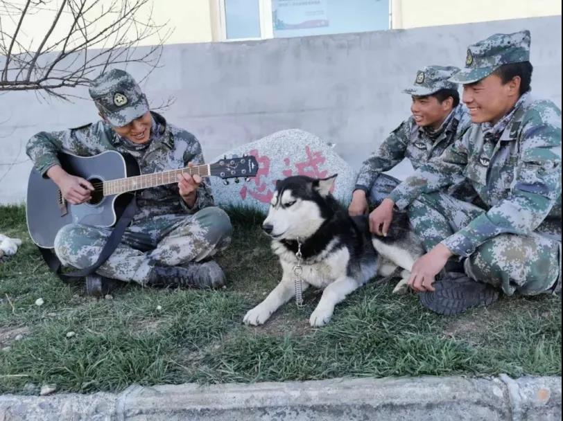 兵哥哥骑马飞奔,骑马的兵哥哥照片