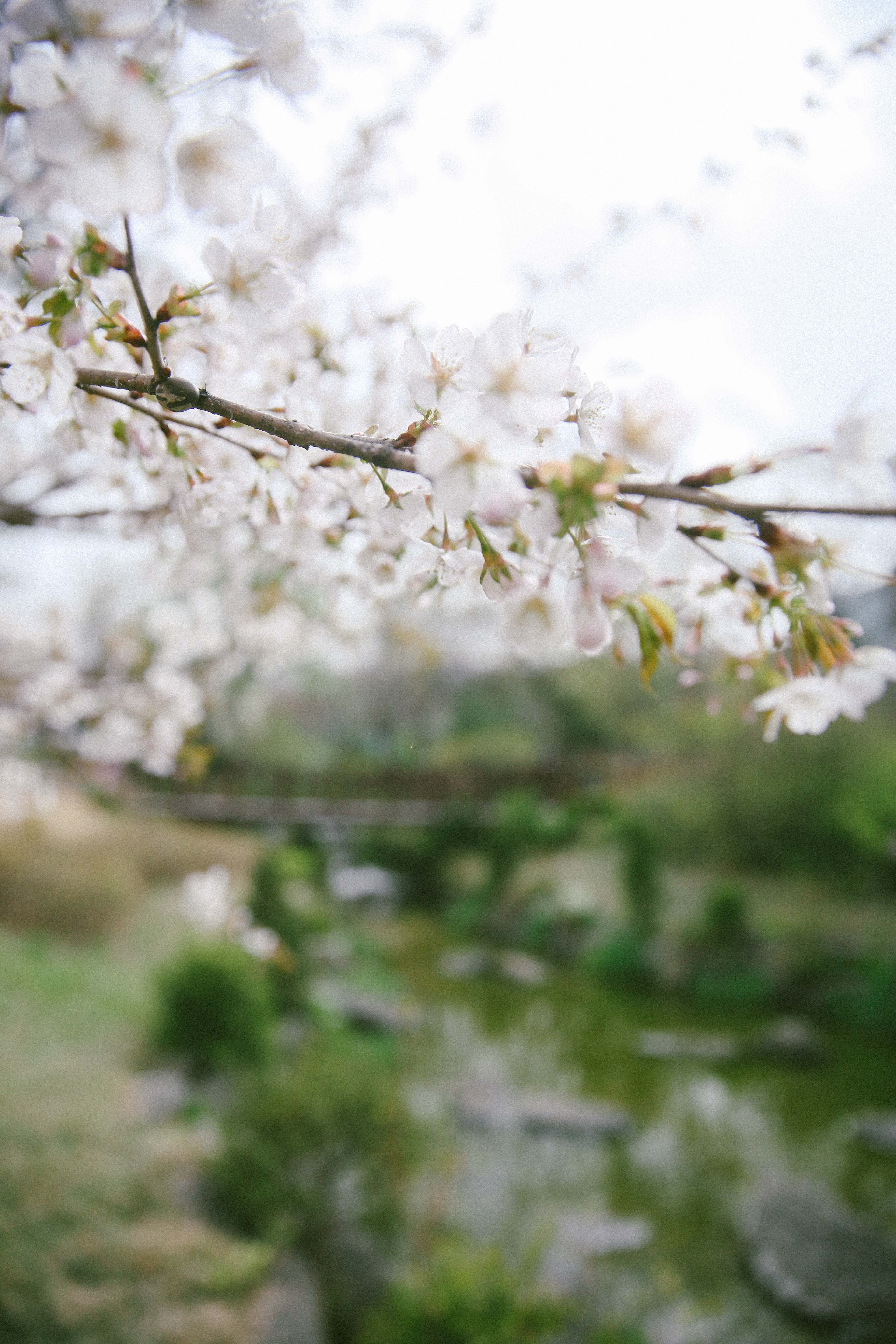 在首尔生活感受,在首尔的悠闲时光