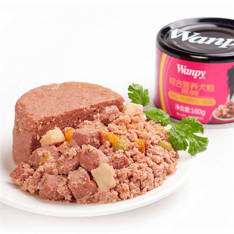 养狗新手入门必备知识,养狗知识大百科入门篇