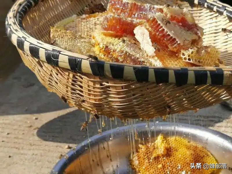 洋槐蜜造假,造假椴树蜜