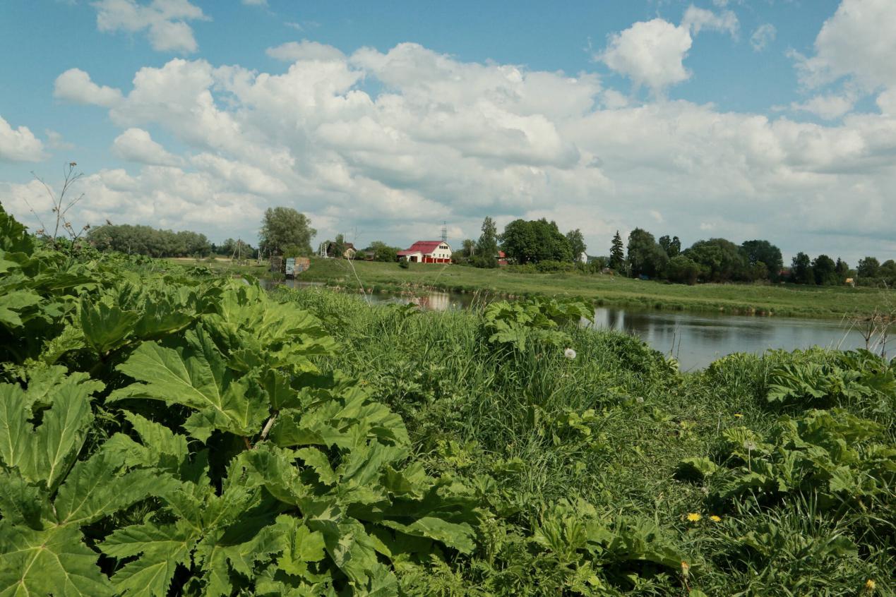 佳能primasuper120胶片相机,佳能胶片单反相机哪款好一点