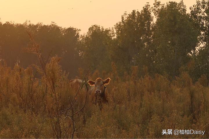 推荐两处江苏的小众温泉，森系vs水系，哪个才是你的爱