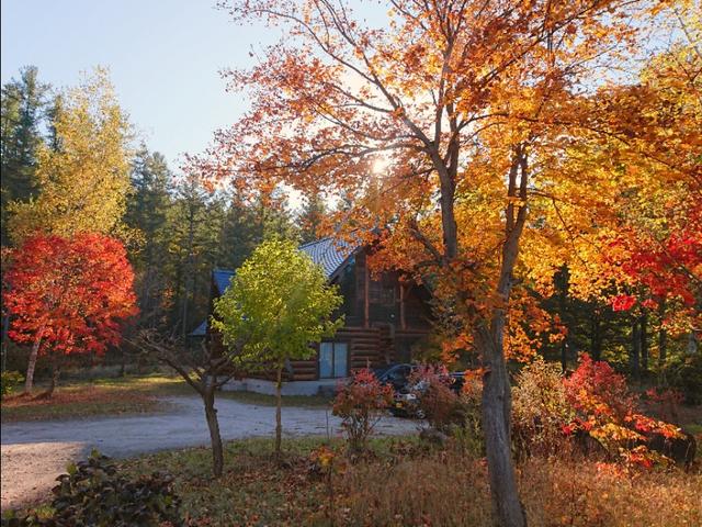北海道登别到美瑛町需多久,日本北海道美瑛川的雪景