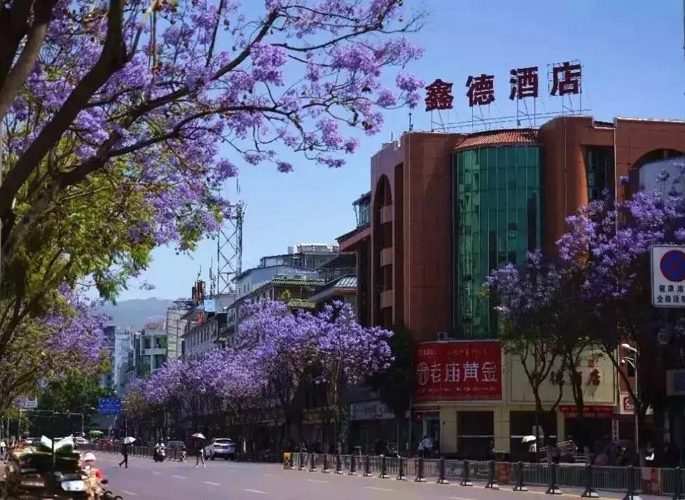 凉山最漂亮的花海,西昌赏花攻略