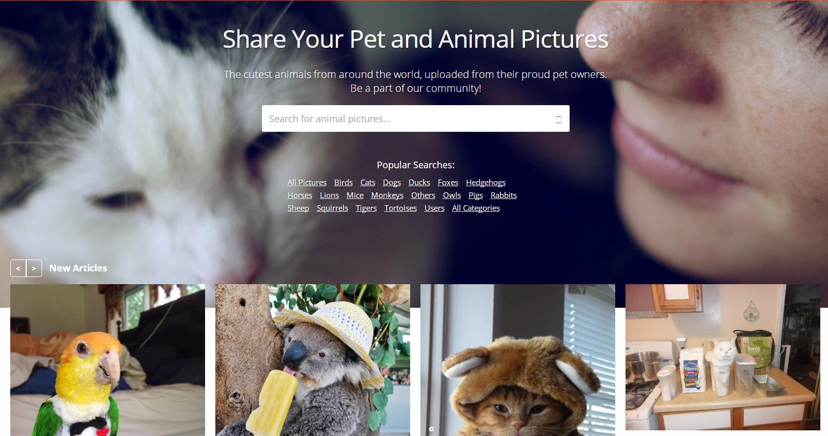 做ppt的图片素材网站免费,适合做ppt的高清图片网站