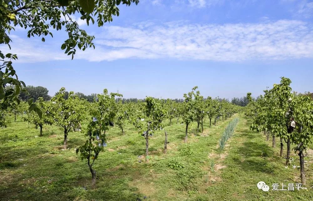 露营抓住五一假期的小尾巴,昌平民宿自驾游推荐