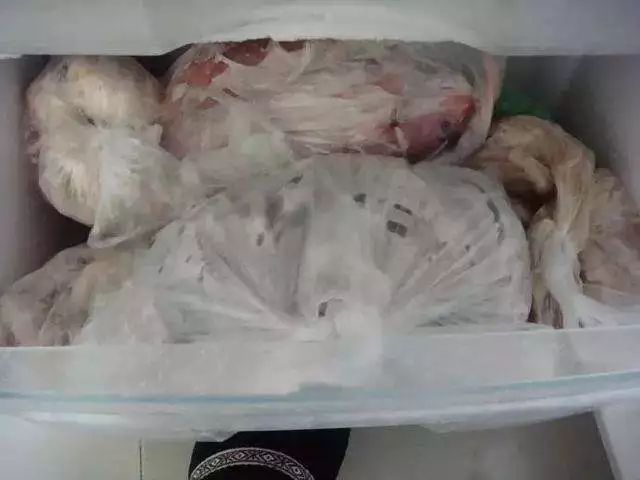 猫吃生骨肉注意事项,猫咪吃生骨肉要注意什么