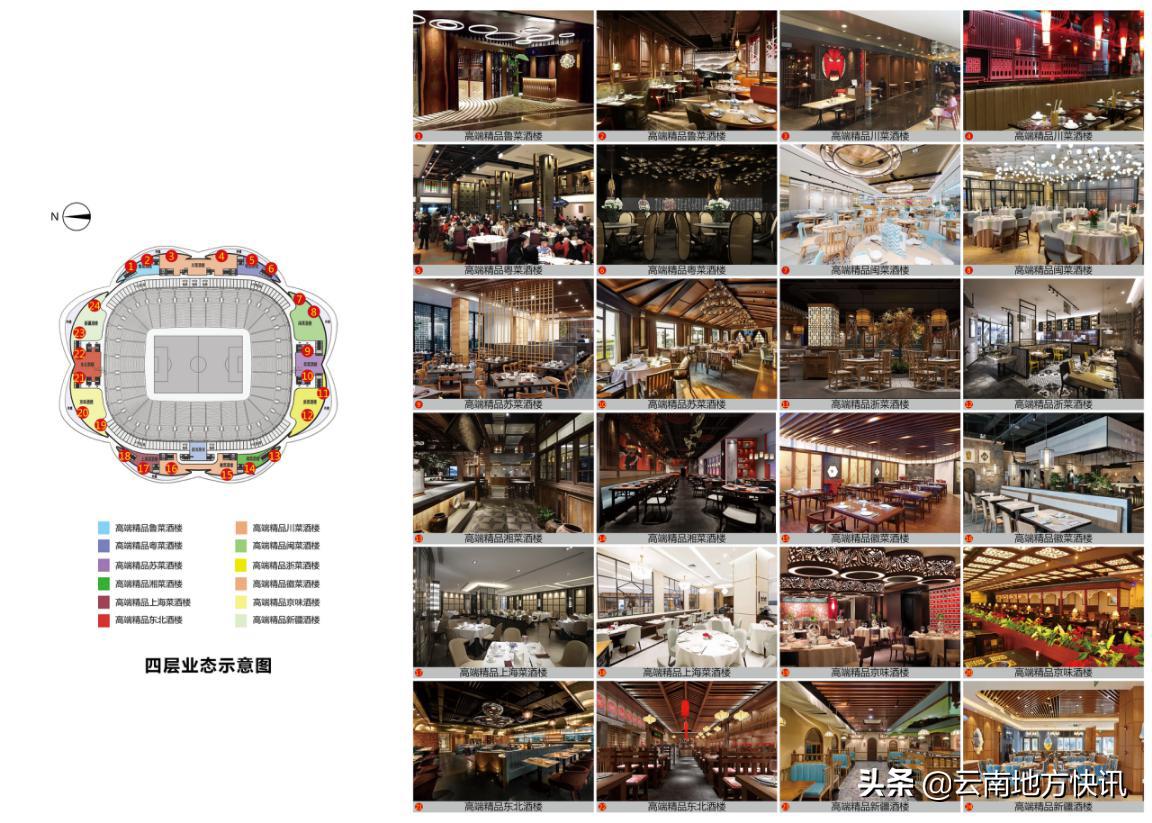 最美荷花盛开视频,最美荷花秀视频大全